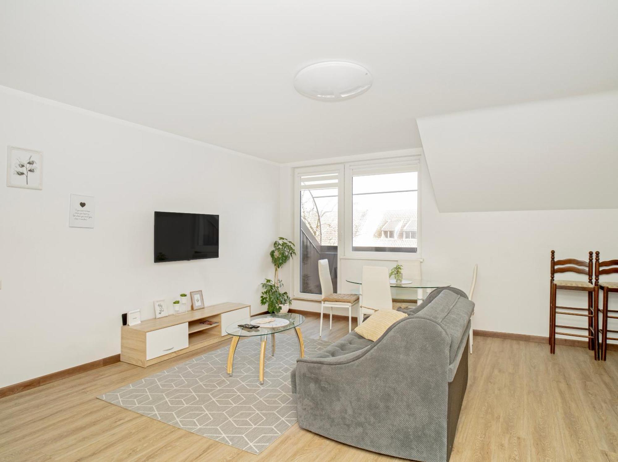Kaunas Castle Apartments - 2 Bedroom Flat Dış mekan fotoğraf